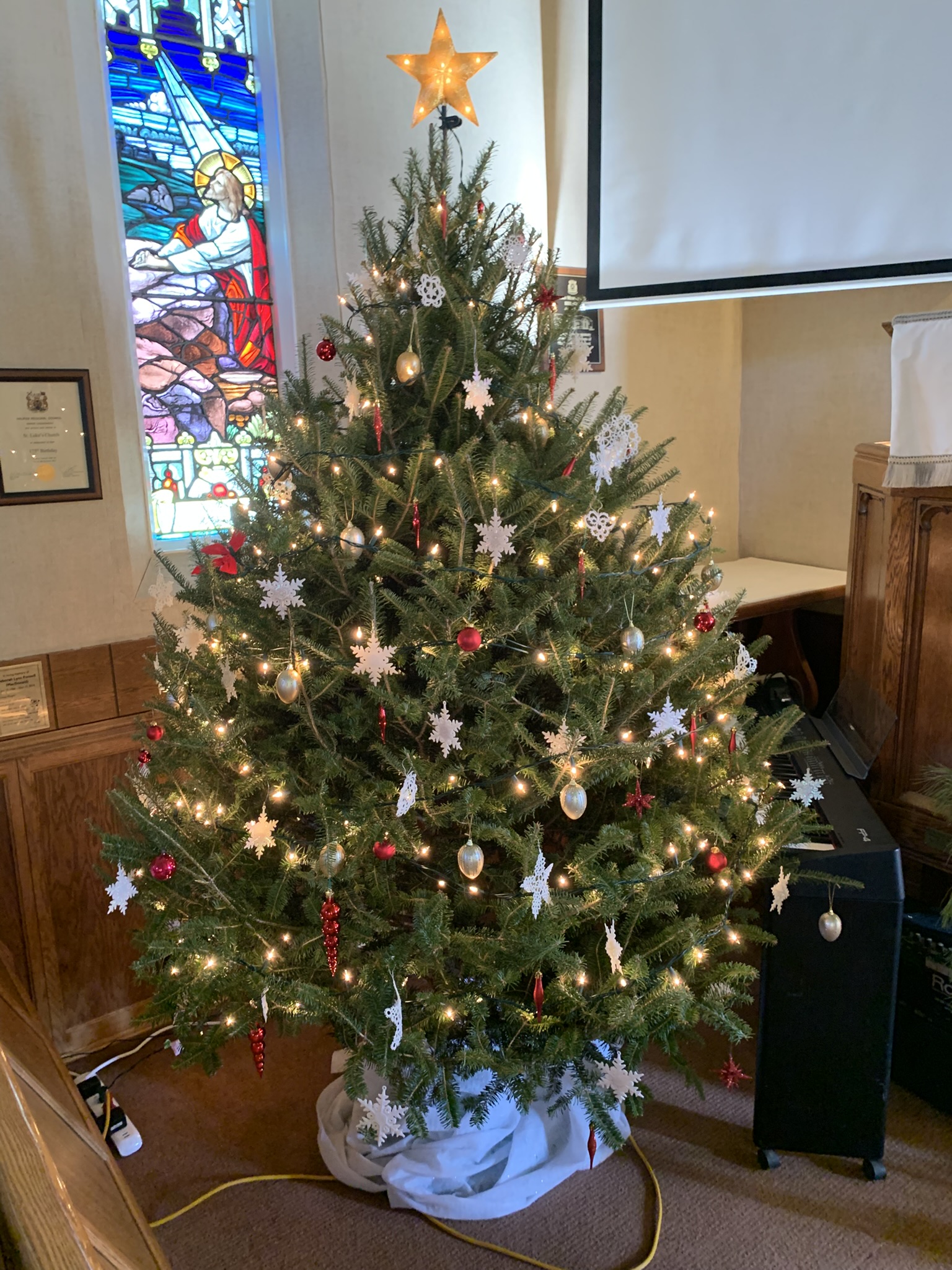 St. Luke's Christmas Tree.